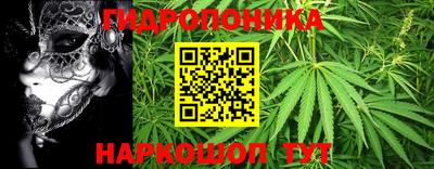 прущие грибы Пенза