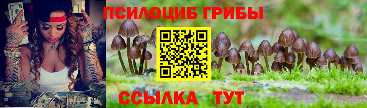 Псилоцибиновые грибы мухоморы Пушкино